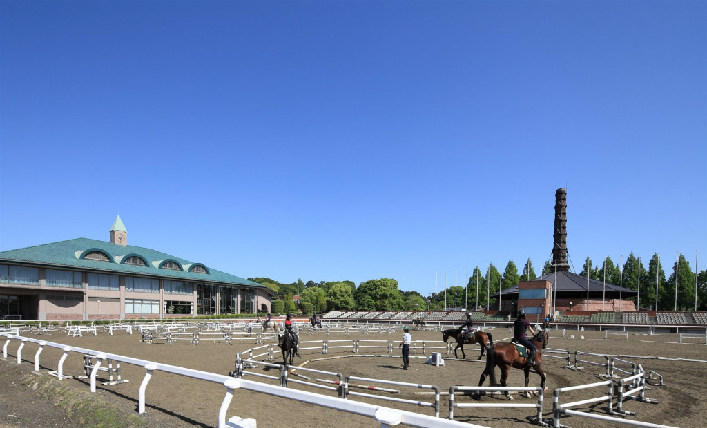 乗馬クラブ クレイン栃木 | とちぎ旅ネット〜栃木の観光旅行情報サイト